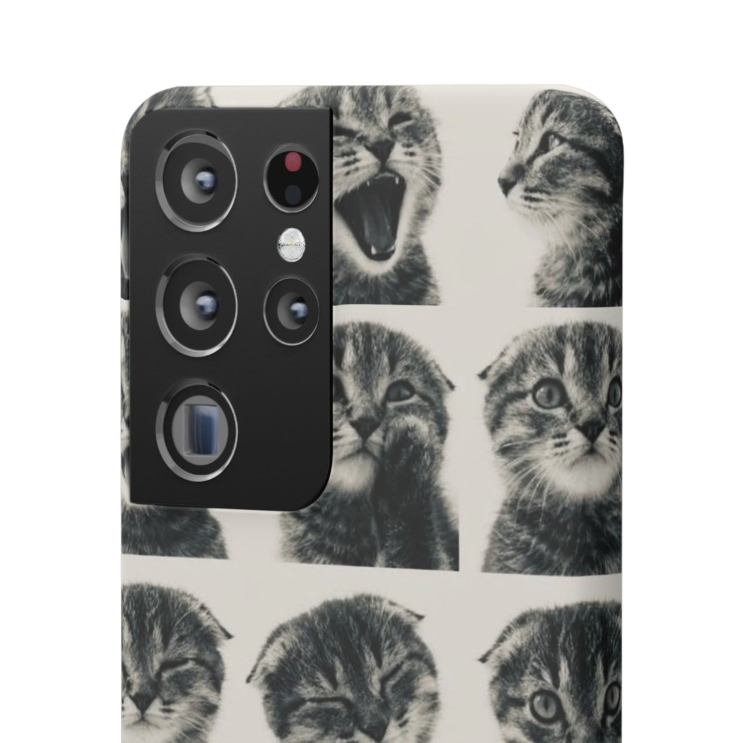 Kitty Posing Phone Case