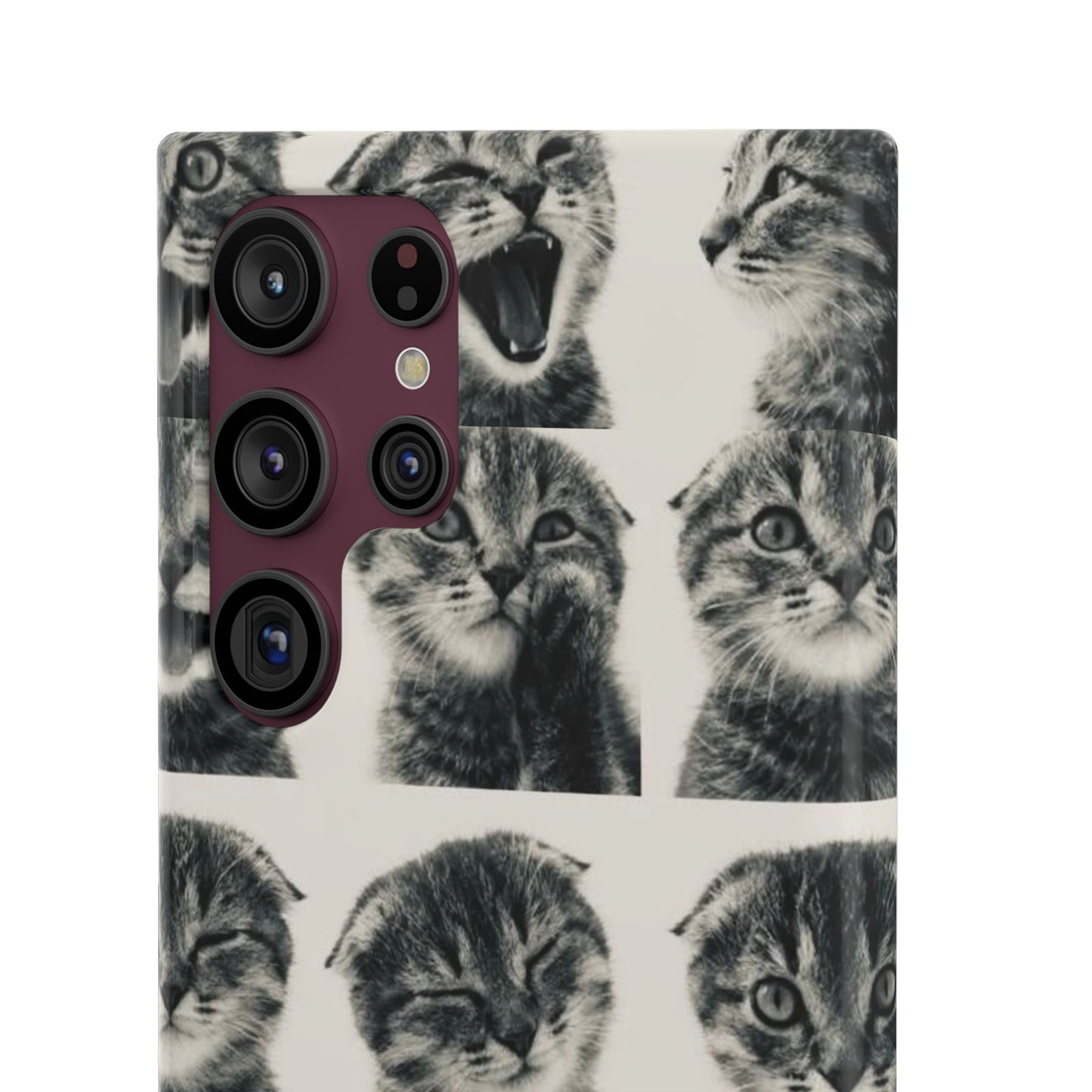 Kitty Posing Phone Case